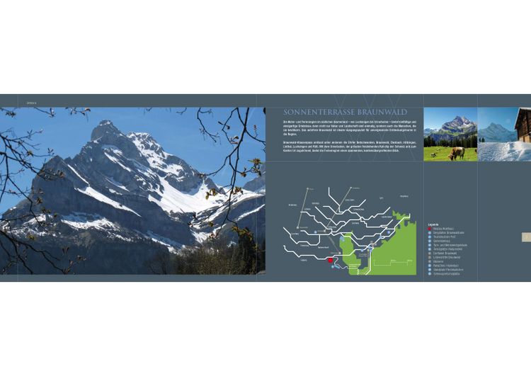 Braunwald